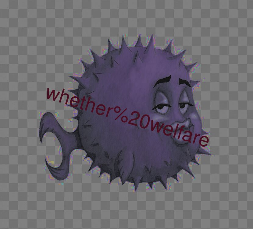 whether welfare